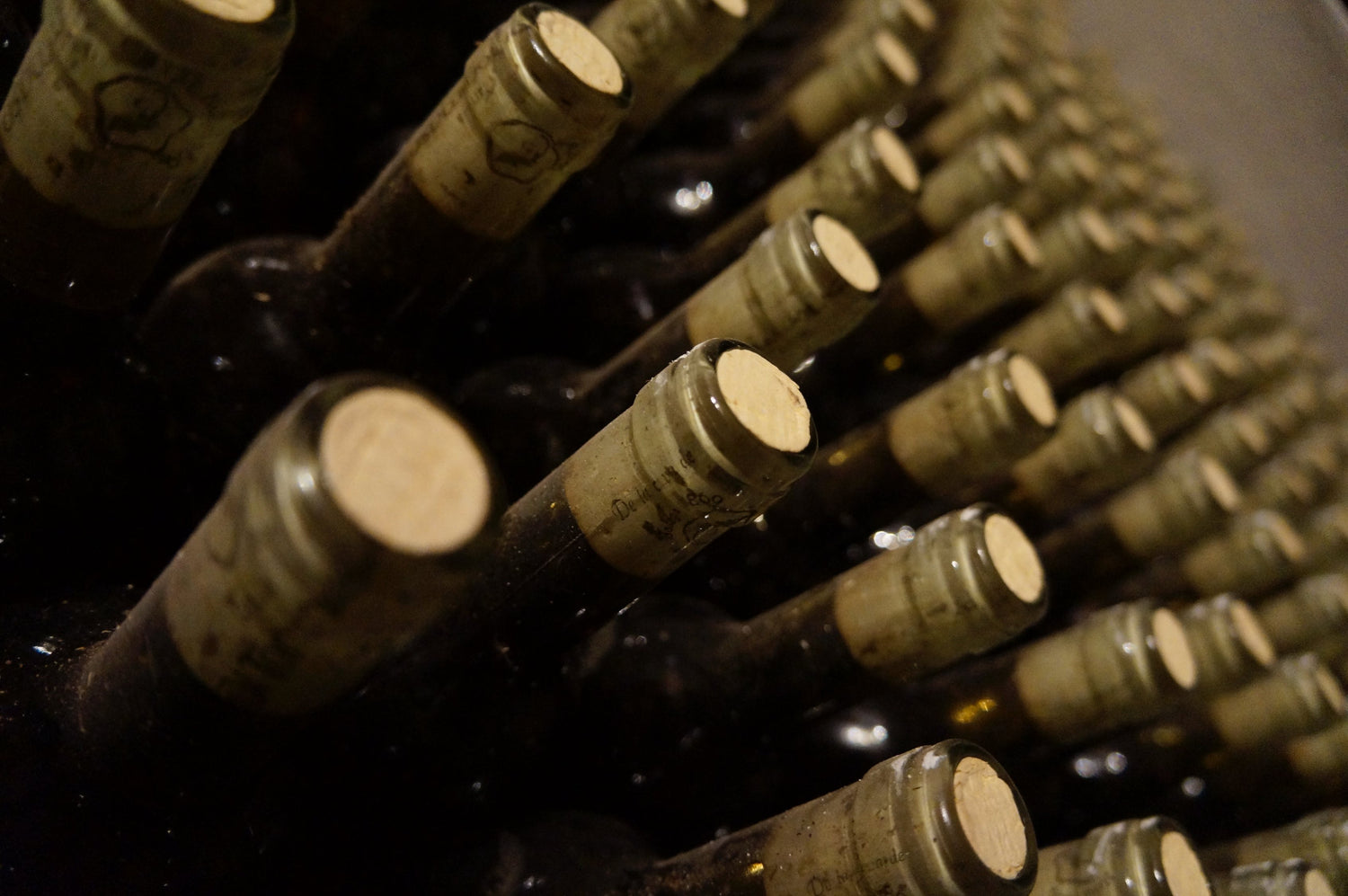 Popular Wines