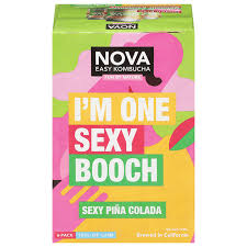 Nova Kombucha Sexy Pina Colada 6 Pack Cans